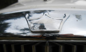 austin princess wynajem